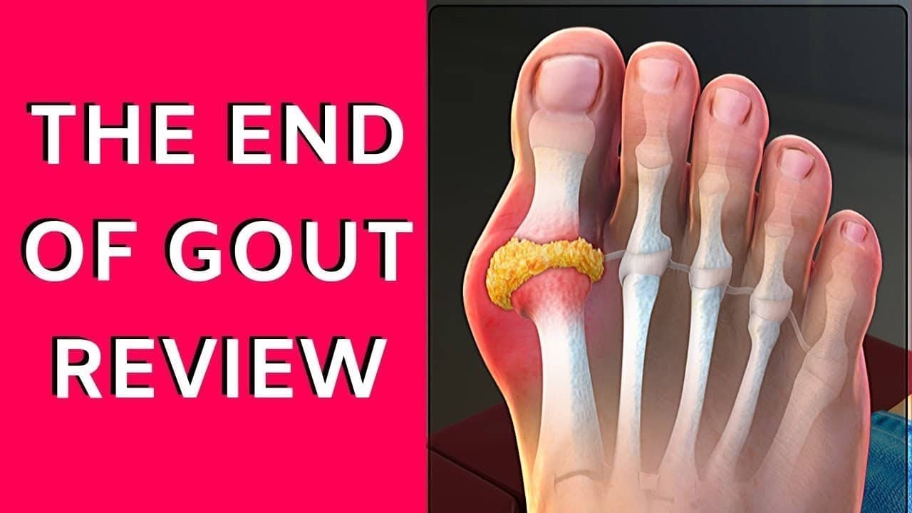 End of Gout Reviews