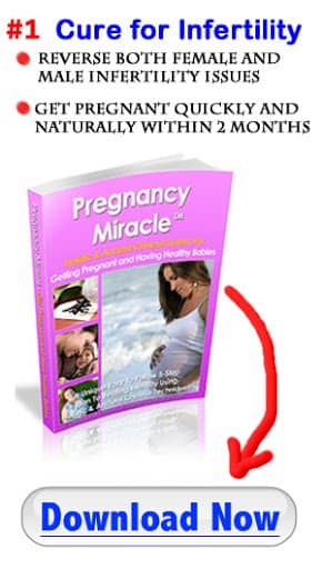 Pregnancy Miracle Download Pdf