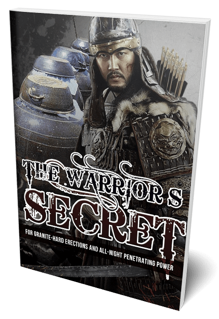 The Warrior’s Secret Review