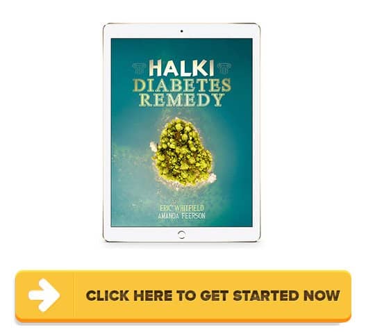 Halki Diabetes Remedy PDF Download