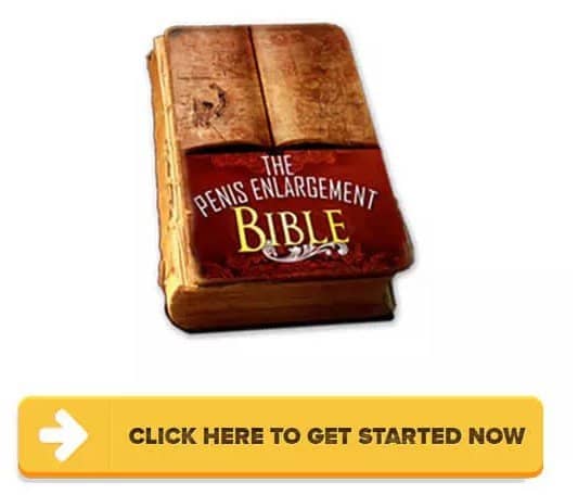 Download PE Bible PDF Here