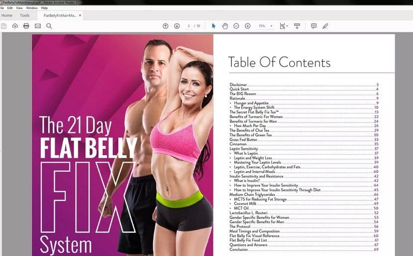 The 21 Day Flat Belly Fix Table of Content